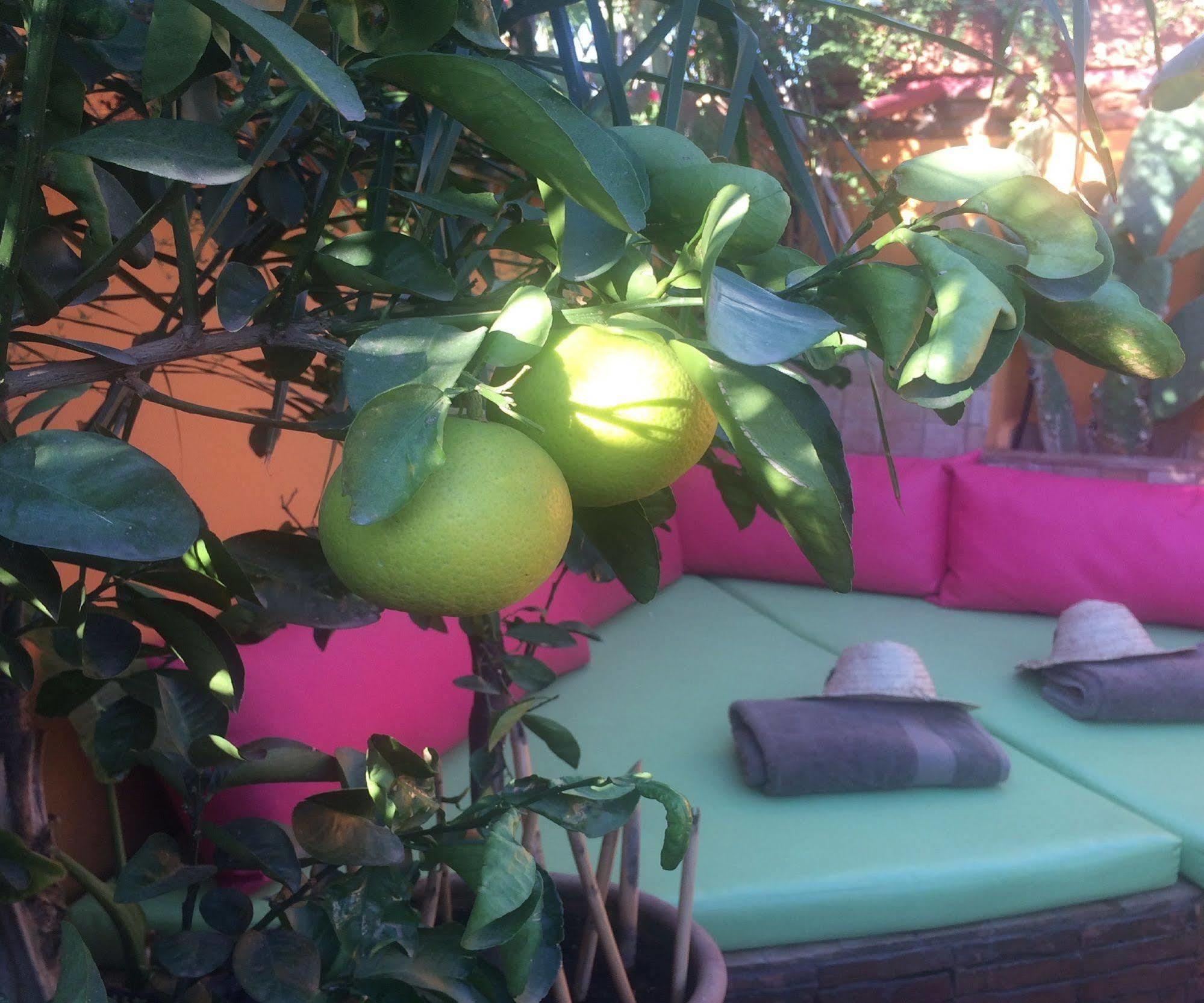 Riad Laith (Adults Only) Marrakesh Exterior photo