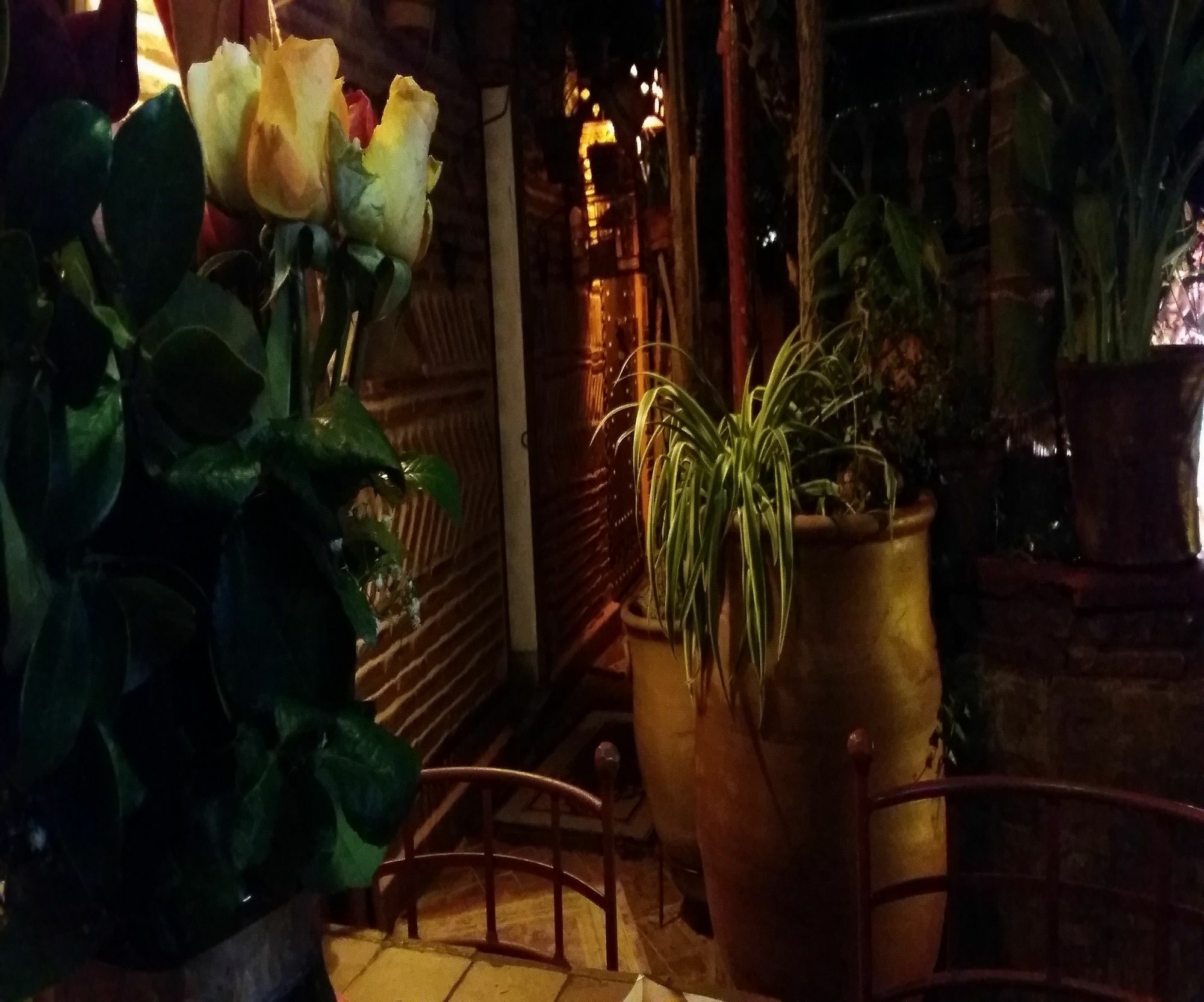Riad Laith (Adults Only) Marrakesh Exterior photo